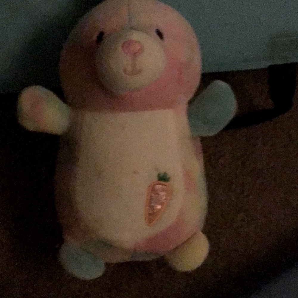 Bunny stuffed toy